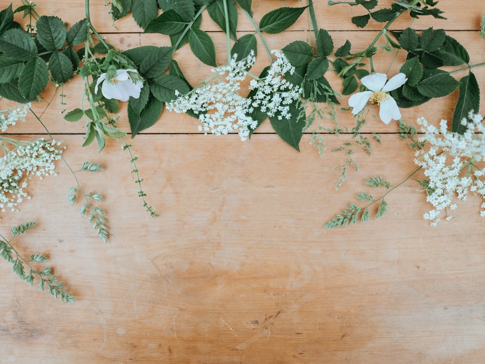 Petites fleurs blanches et feuillage sur un fond de bois clair