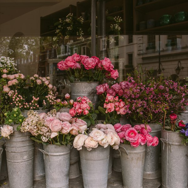 Seaux de roses et de fleurs fraîches devant une boutique